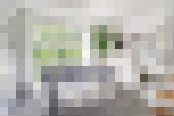 Bosweg 40 Burgh-Haamstede thumbnail 8