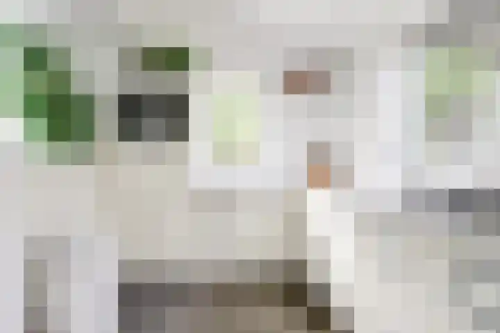 Bosweg 40 Burgh-Haamstede thumbnail 9
