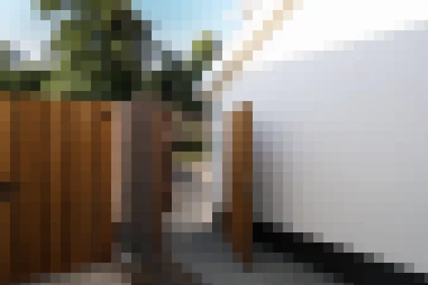 Bosweg 42 Zoutelande thumbnail 10