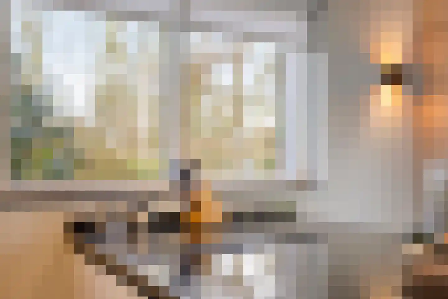 Bosweg 42 Zoutelande thumbnail 21
