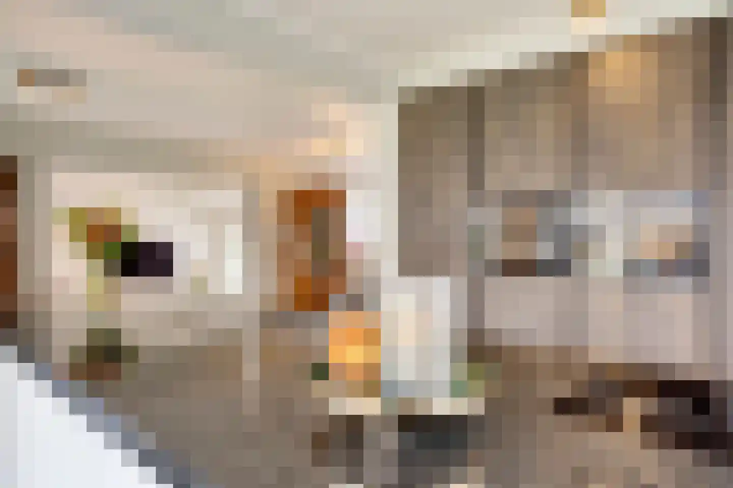Bosweg 42 Zoutelande thumbnail 22