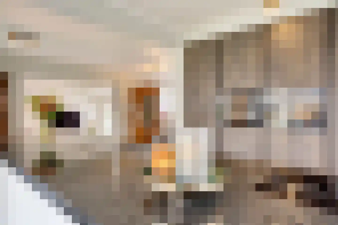 Bosweg 42 Zoutelande thumbnail 23