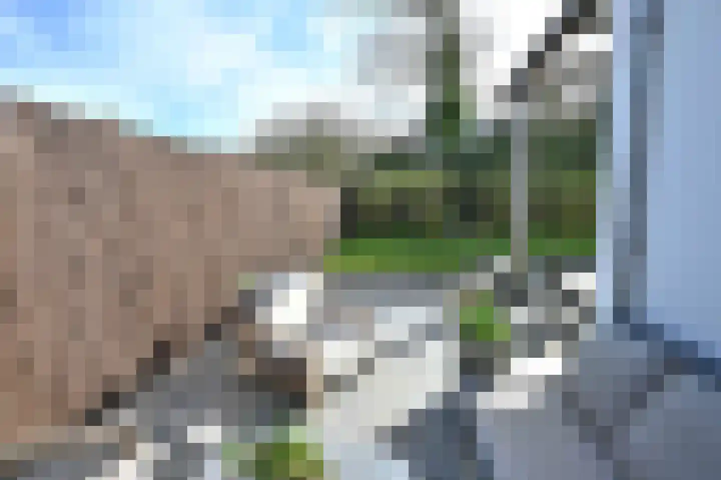 Bosweg 42 Zoutelande thumbnail 25