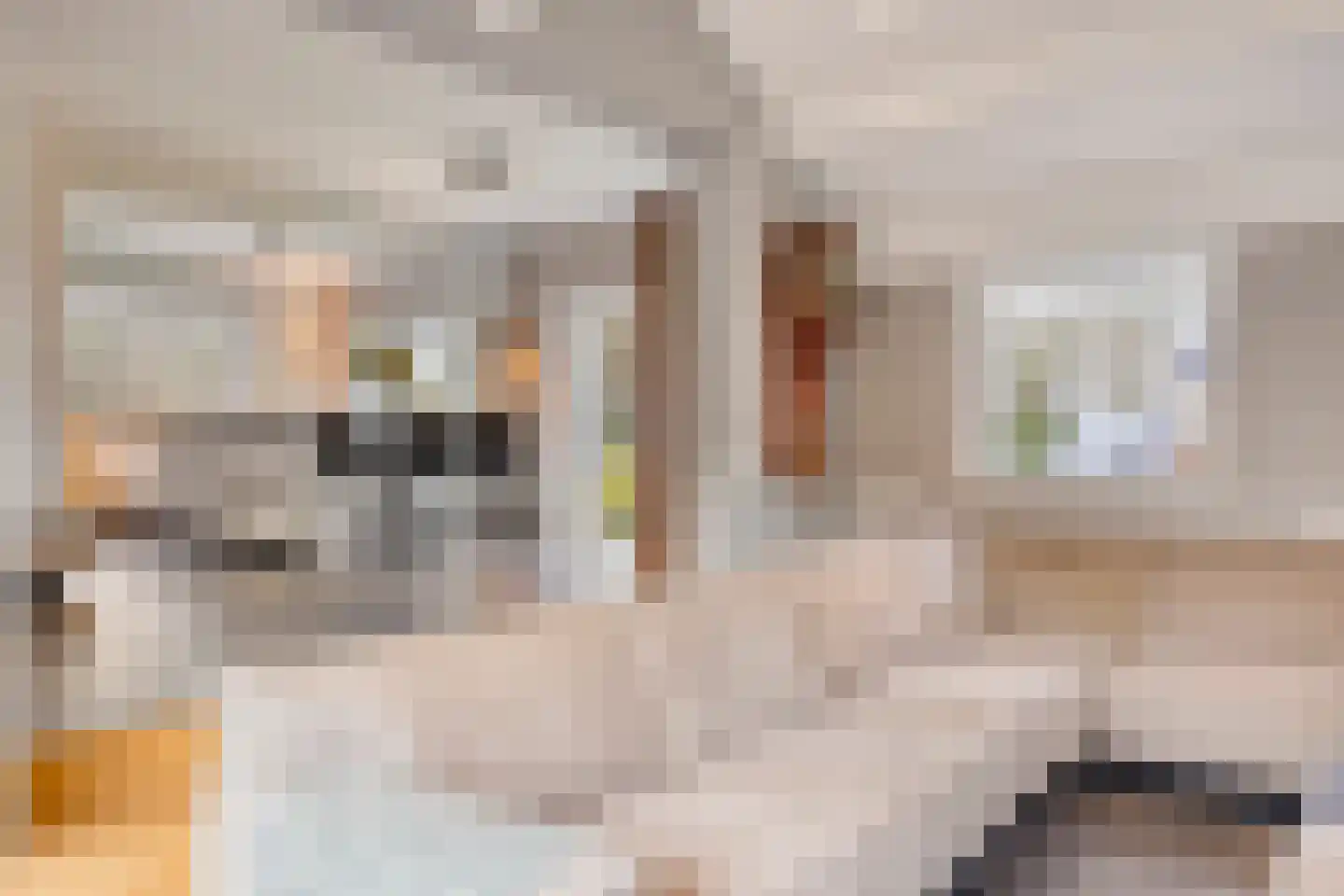 Bosweg 42 Zoutelande thumbnail 25