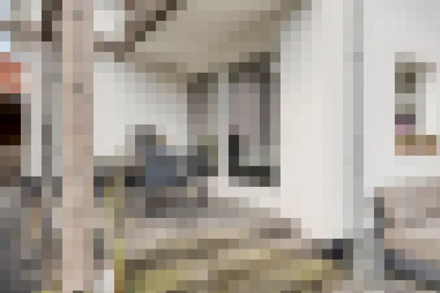 Bosweg 42 Zoutelande thumbnail 27