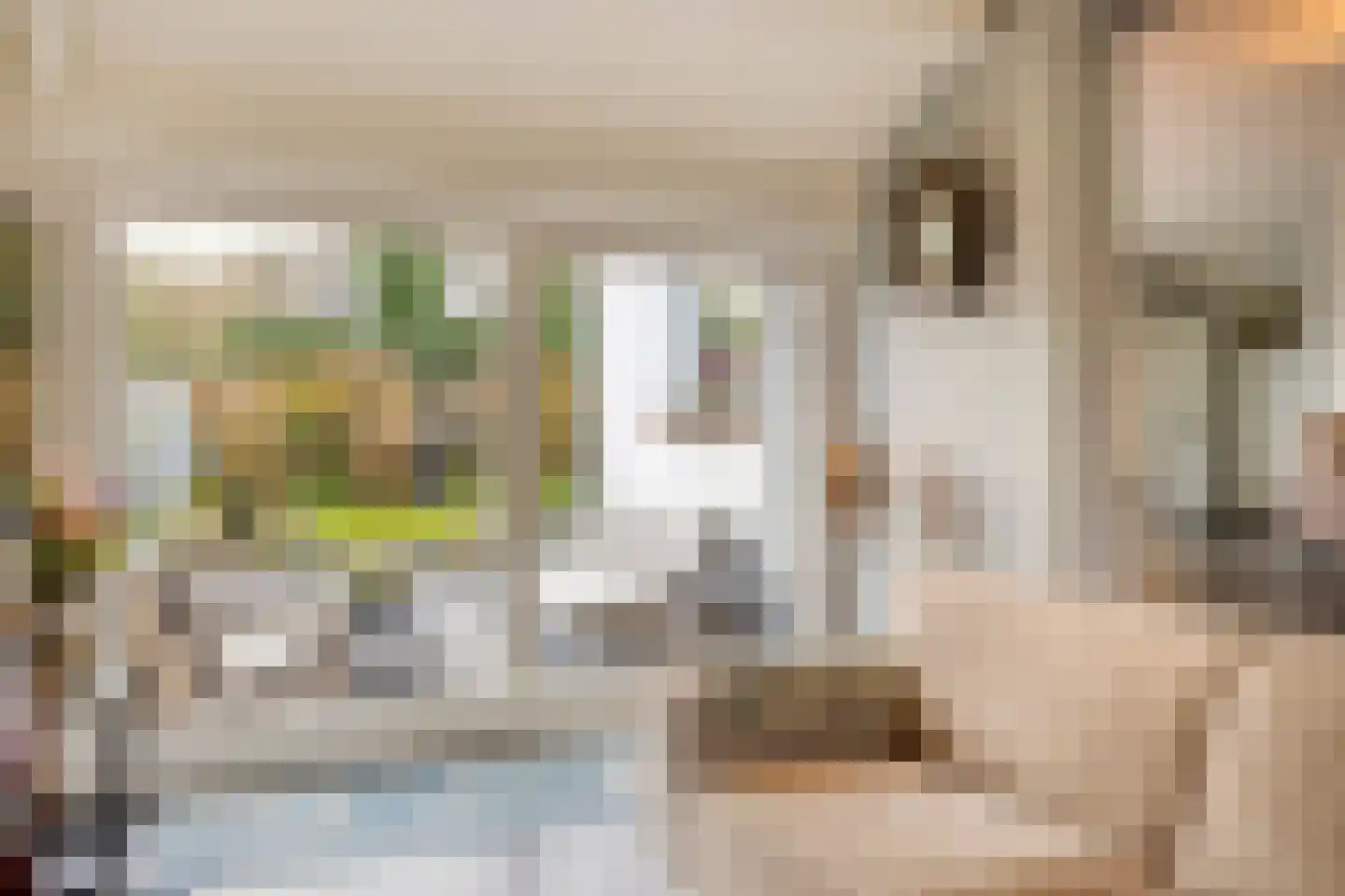 Bosweg 42 Zoutelande thumbnail 27
