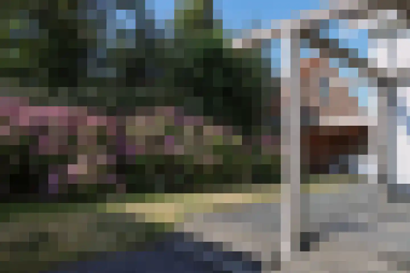 Bosweg 42 Zoutelande thumbnail 29