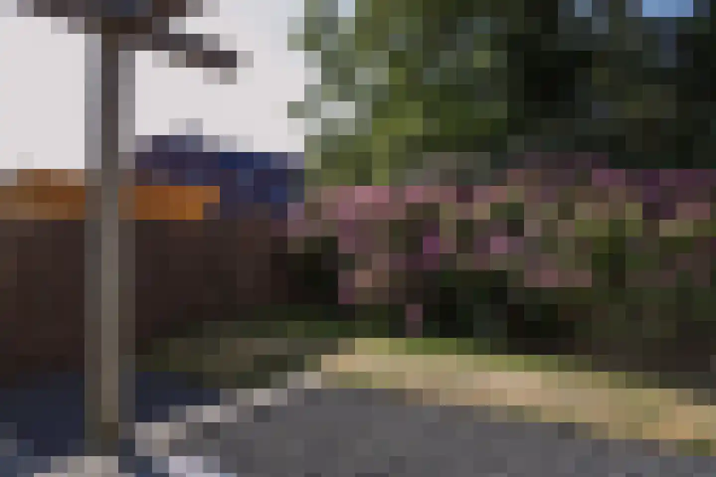 Bosweg 42 Zoutelande thumbnail 30
