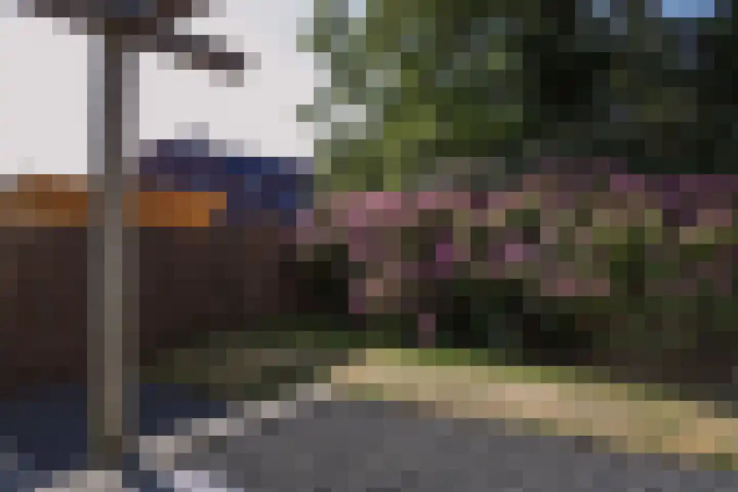 Bosweg 42 Zoutelande thumbnail 31