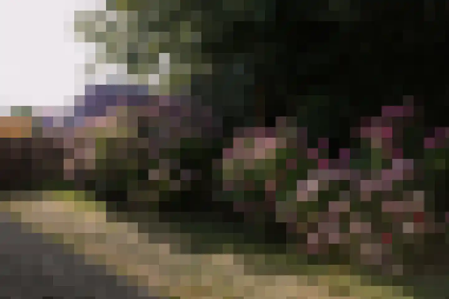 Bosweg 42 Zoutelande thumbnail 34