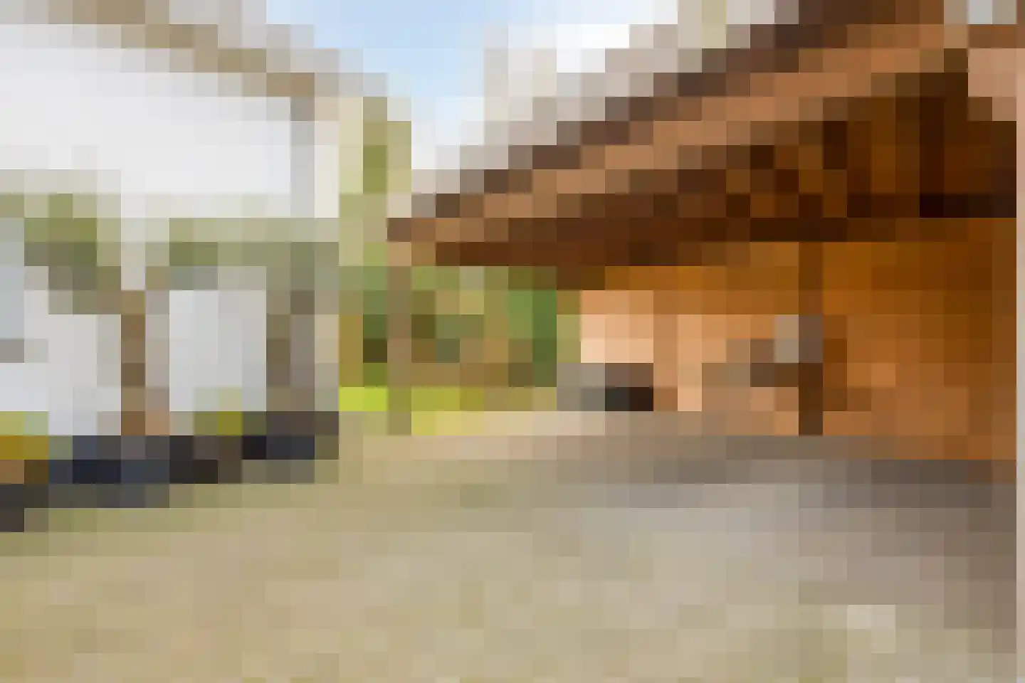 Bosweg 42 Zoutelande thumbnail 37