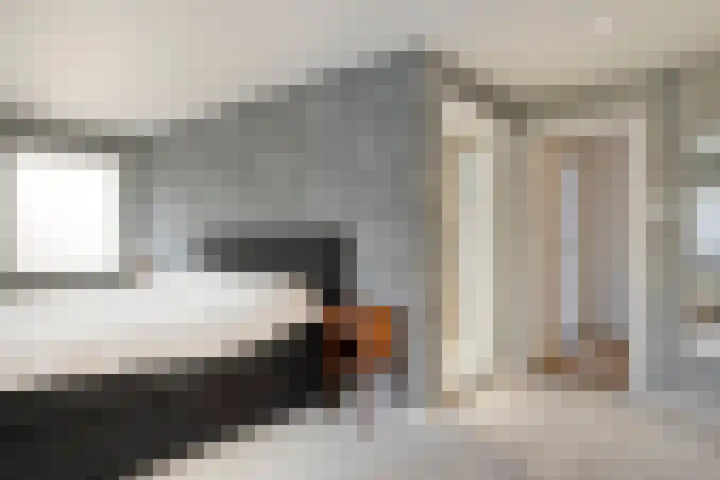 Bosweg 42 Zoutelande thumbnail 39