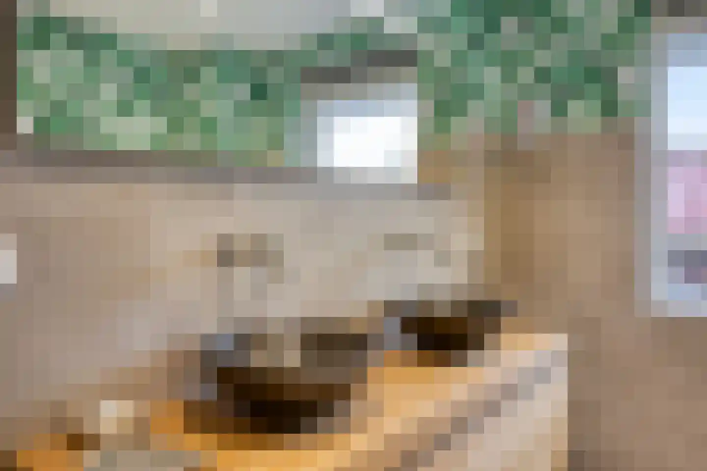Bosweg 42 Zoutelande thumbnail 43