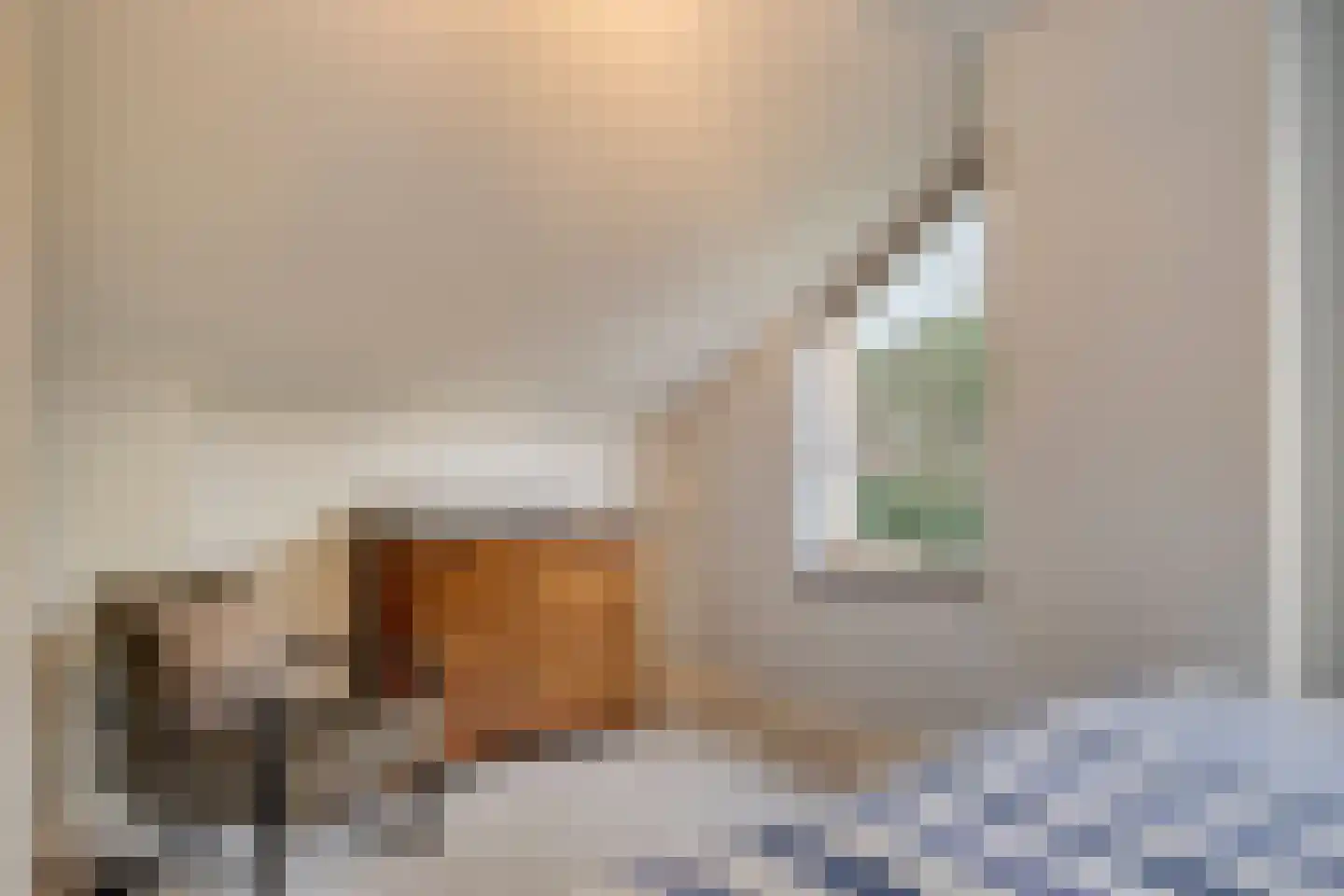 Bosweg 42 Zoutelande thumbnail 49