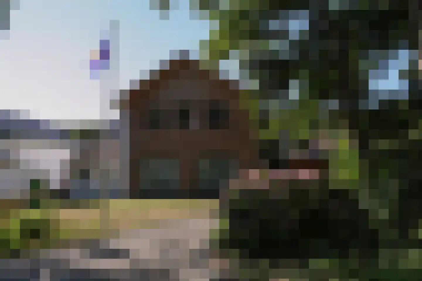 Bosweg 42 Zoutelande thumbnail 5