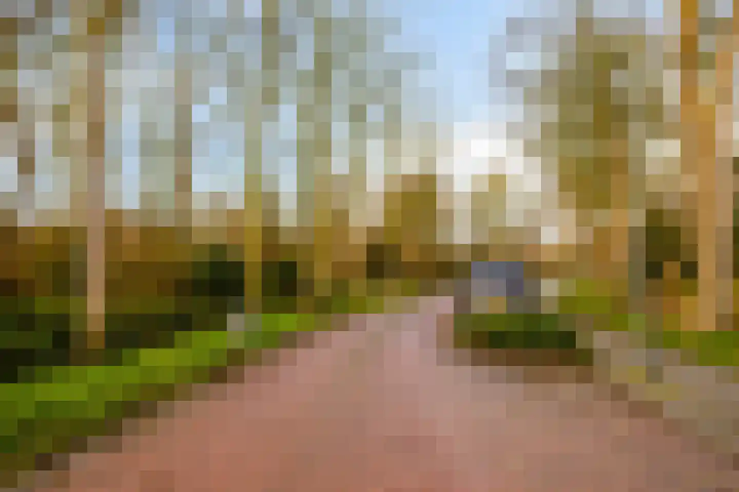 Bosweg 42 Zoutelande thumbnail 51