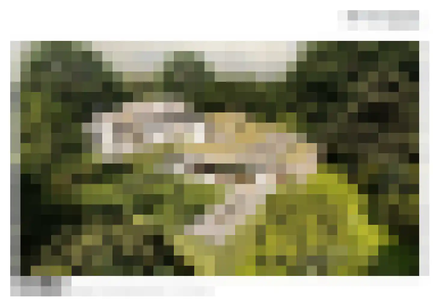 Bosweg 42 Zoutelande thumbnail 52