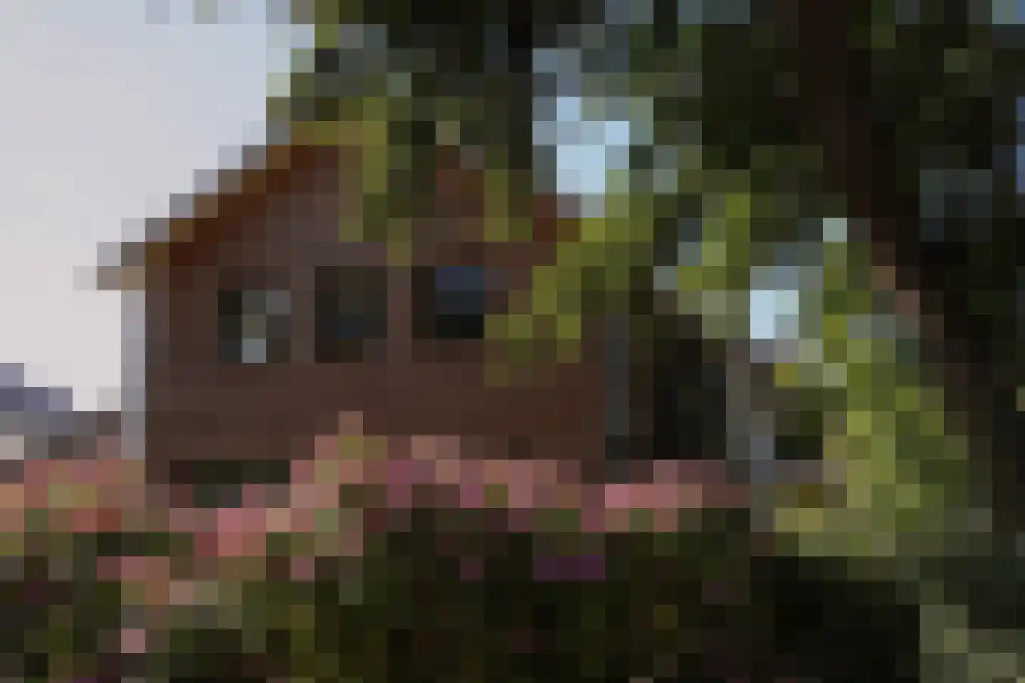 Bosweg 42 Zoutelande thumbnail 7