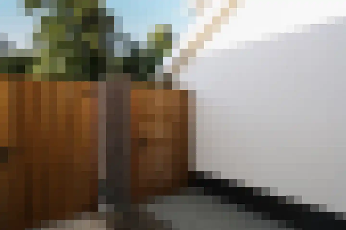 Bosweg 42 Zoutelande thumbnail 8