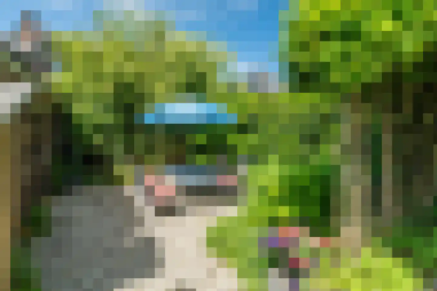 Bosweg 44 Apeldoorn thumbnail 42