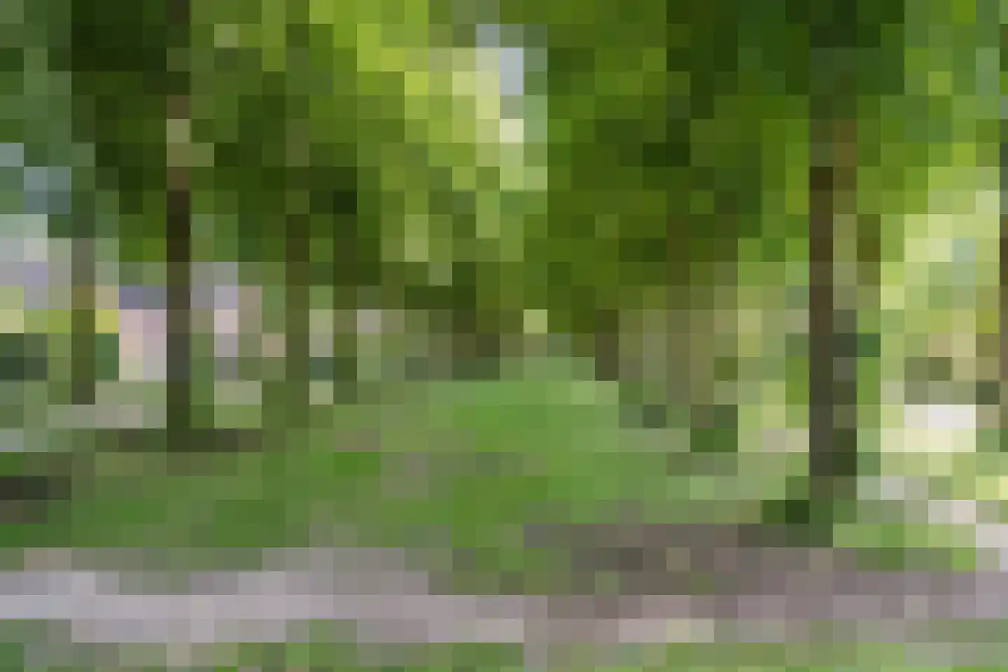 Bosweg 44 Apeldoorn thumbnail 55