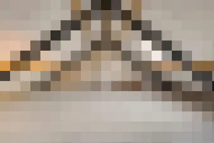 Bosweg 46 Velp thumbnail 12