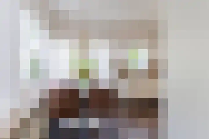Bosweg 46 Velp thumbnail 12
