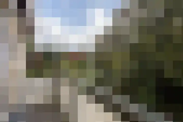 Bosweg 46 Velp thumbnail 22