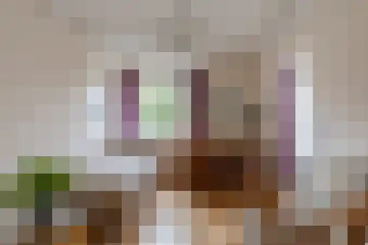 Bosweg 46 Velp thumbnail 23