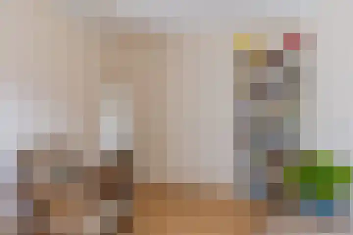 Bosweg 46 Velp thumbnail 24