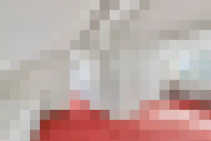 Bosweg 46 Velp thumbnail 26