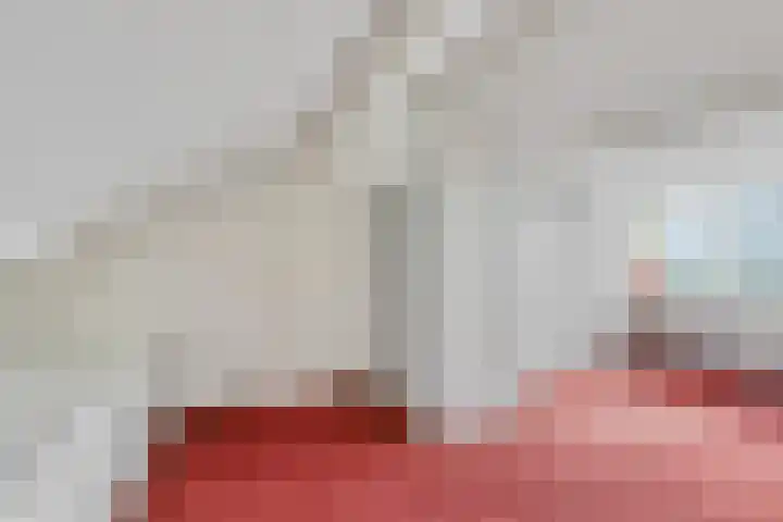 Bosweg 46 Velp thumbnail 27