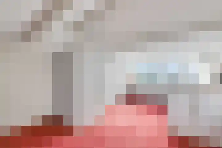 Bosweg 46 Velp thumbnail 28