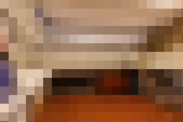 Bosweg 46 Velp thumbnail 30
