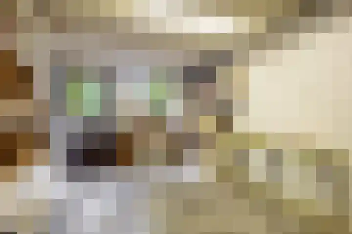 Bosweg 46 Velp thumbnail 31