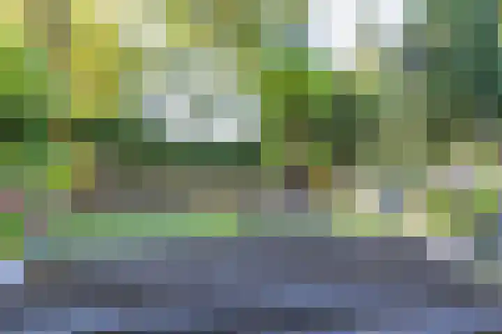 Bosweg 46 Velp thumbnail 32