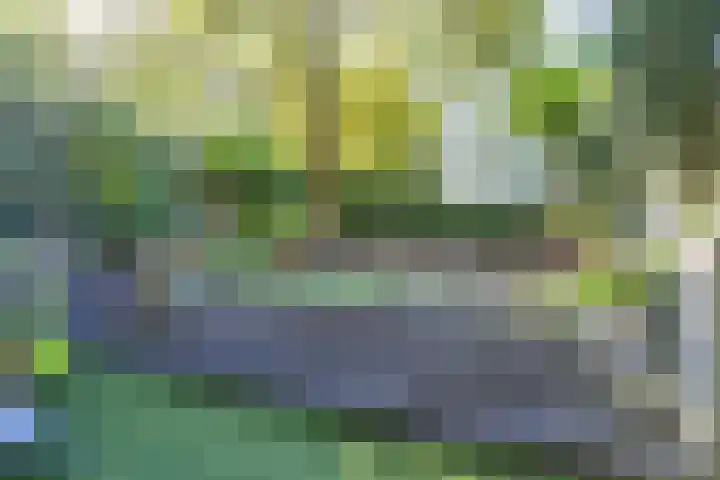 Bosweg 46 Velp thumbnail 33