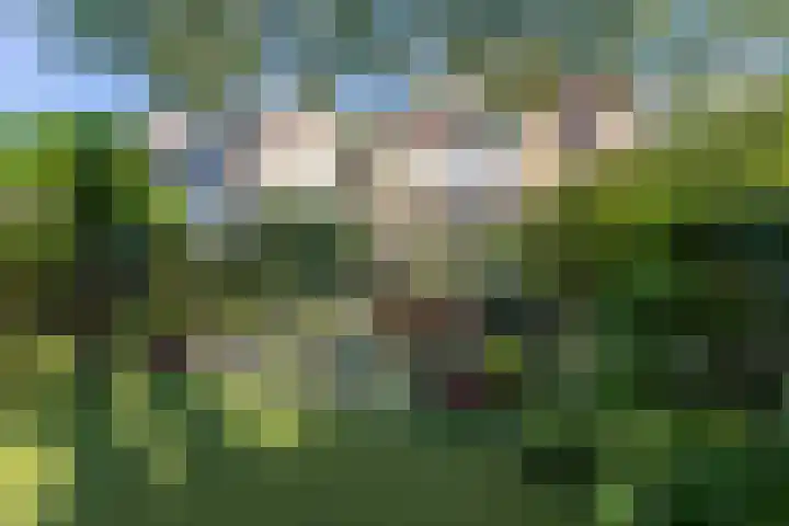 Bosweg 46 Velp thumbnail 37