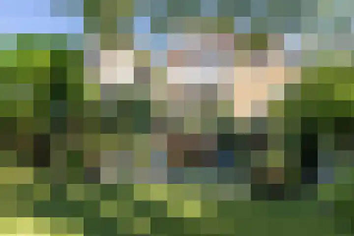 Bosweg 46 Velp thumbnail 4