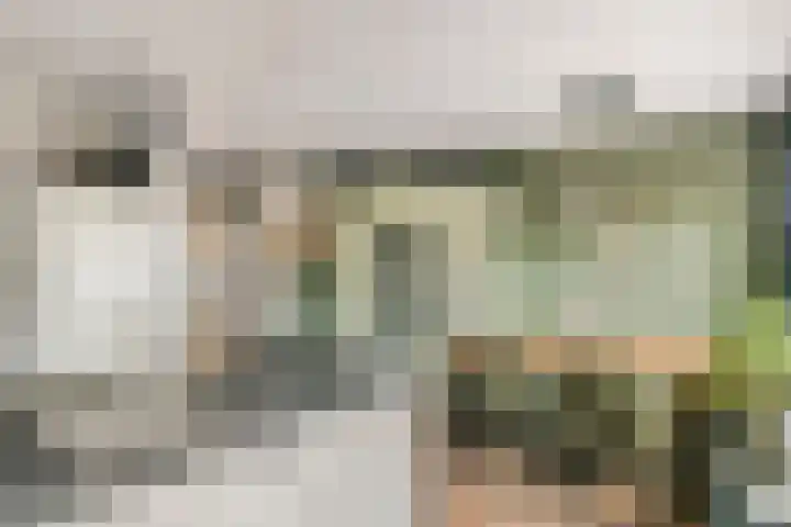 Bosweg 46 Velp thumbnail 6