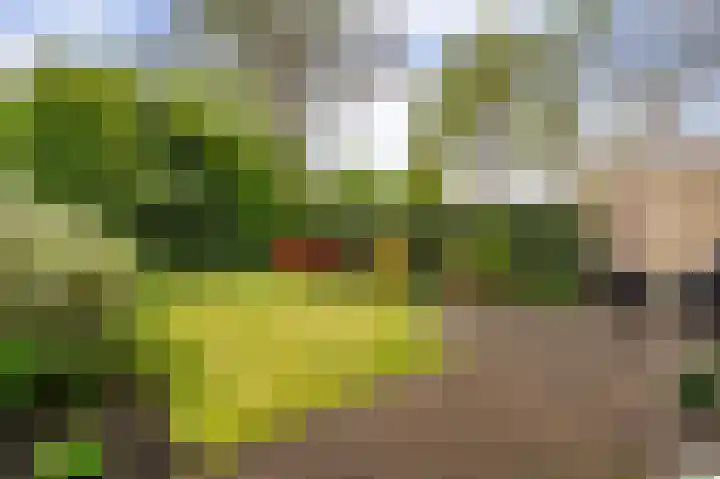 Bosweg 46 Velp thumbnail 8