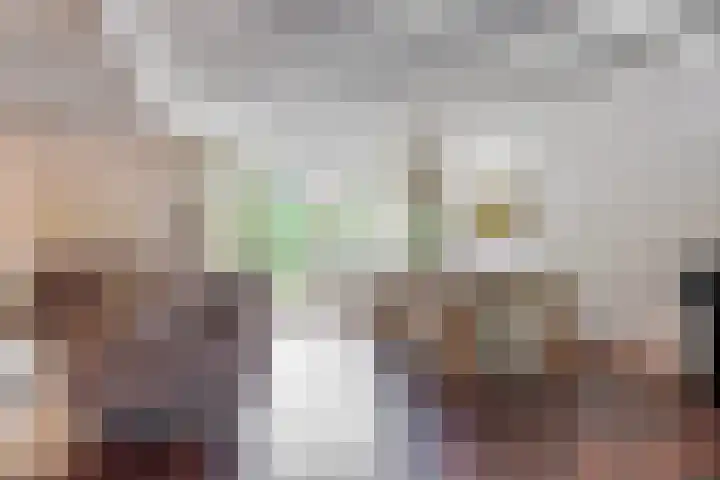 Bosweg 46 Velp thumbnail 9