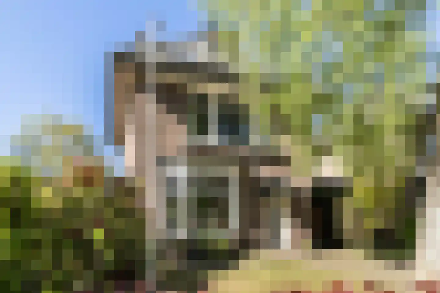 Bosweg 48 Apeldoorn