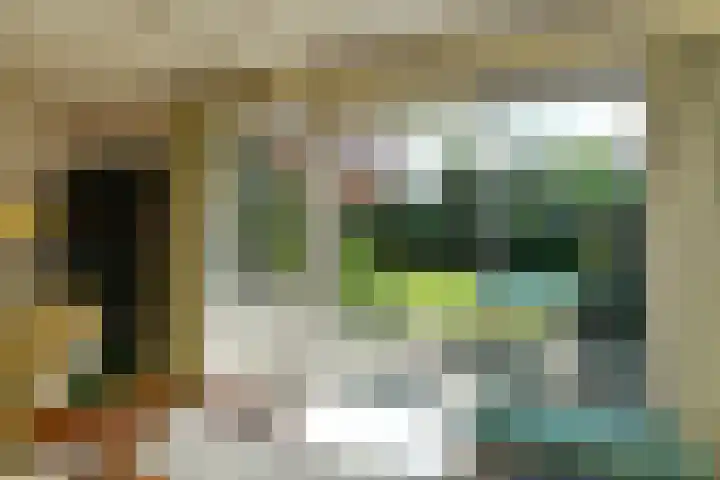 Bosweg 52 Velp thumbnail 10