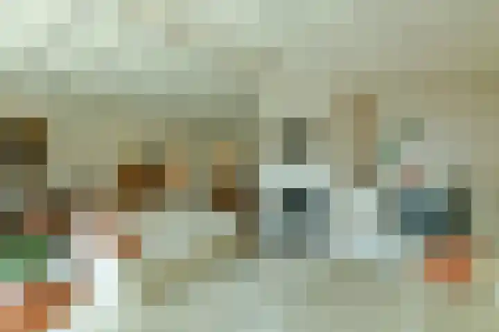 Bosweg 52 Velp thumbnail 11