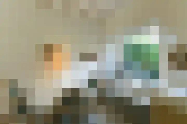 Bosweg 52 Velp thumbnail 13