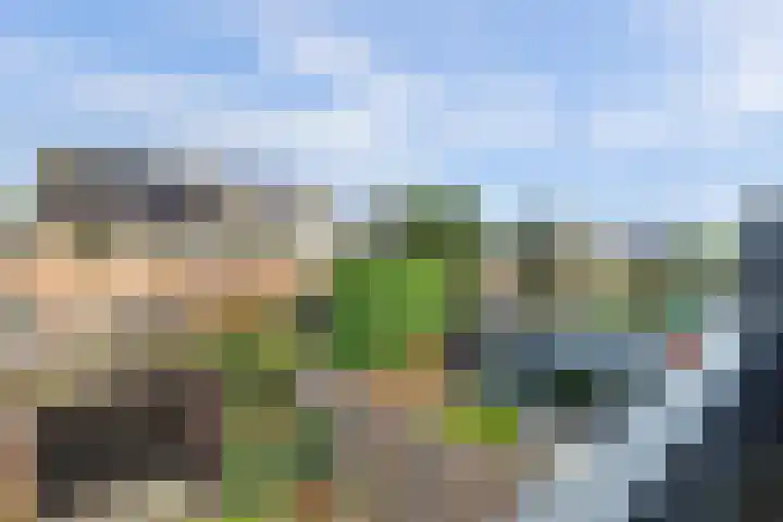 Bosweg 52 Velp thumbnail 17
