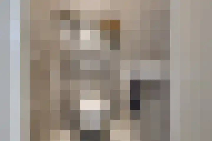 Bosweg 52 Velp foto 2