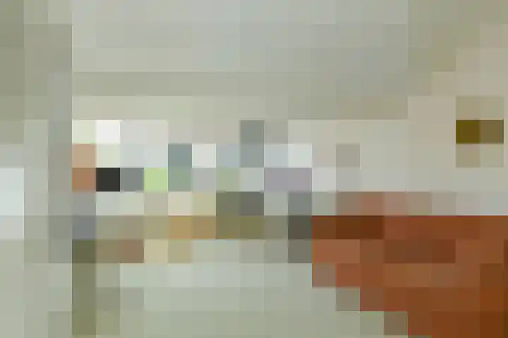 Bosweg 52 Velp thumbnail 21