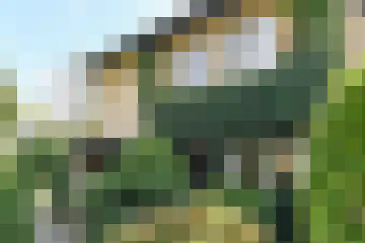 Bosweg 52 Velp thumbnail 22